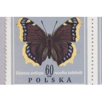 Gabinetowa kolekcja filatelistyki. Motyle. Polska, lata 70. 80. XX w.